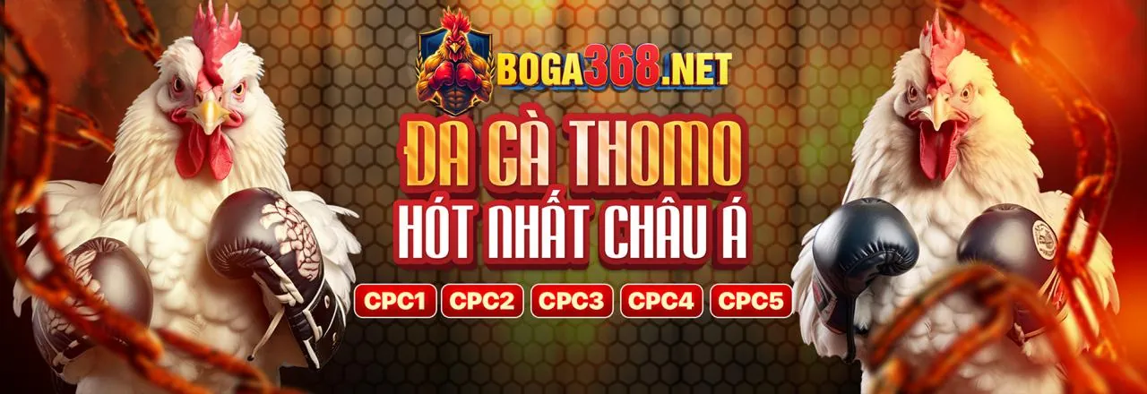 Đá Gà Trực Tuyến Hấp Dẫn tại hay88i